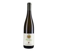 Pinot Grigio Alto Adige DOC 2024 - Abbazia di Novacella 0.75 lt