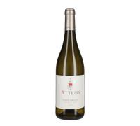 Pinot Grigio Attems 2025