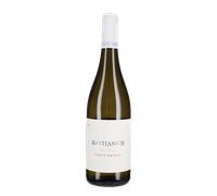 Pinot Grigio Bastianich 2025
