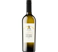 Pinot Grigio Delle Venezie 2024 - Ville d'Arfanta Pinot Grigio Delle Venezie