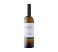 Pinot Grigio DOC Castel Firmian - Mezzacorona - 750 ml