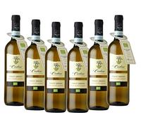 Pinot Grigio DOC Venezia senza solfiti aggiunti