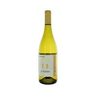 Pinot Grigio Alto Adige DOC 2023 - Hofstätter 0.75 lt