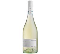 Pinot Grigio Pizzolato BIO - Pizzolato
