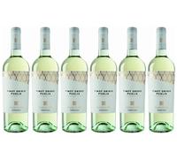 Pinot Grigio Salento Igp Paololeo Varietali 2024 PaoloLeo bott. 6 x 0,75 l