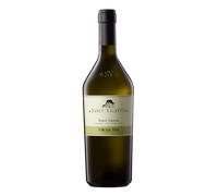 Pinot Grigio Sanct Valentin Alto Adige DOC 2018 - Cantina San Michele Appiano