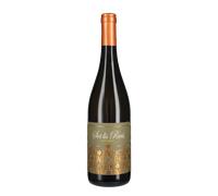 Pinot Grigio 'Sot Lis Rivis' Ronco del Gelso 2023