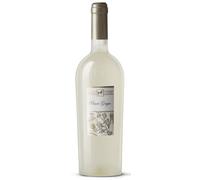 Pinot Grigio Terre di Chieti IGP Tenuta Ulisse