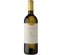 Elena Walch Pinot Grigio Castel Ringberg Südtirol - Alto Adige DOC 2023 0,75 ℓ
