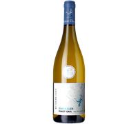 Pinot Gris - Parcelles 2024 - Réthoré Davy Val de Loire