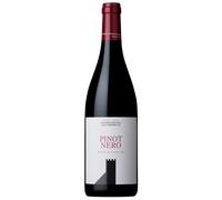 Colterenzio - Alto Adige Pinot Nero Doc 2019