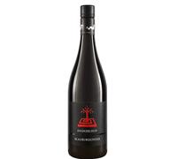 Pinot Nero bio 2023 - Tenuta Kränzelhof