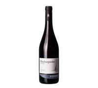 Pinot Nero Cantina Kurtatsch 2025
