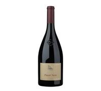 Pinot Nero Cantina Terlano 2025