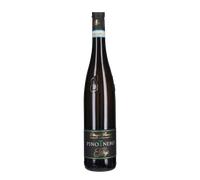 Pinot Nero Frizzante Vinificato in Bianco Giorgi 2024