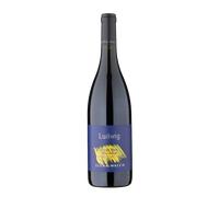 Pinot Nero 'Ludwig' Elena Walch 2023