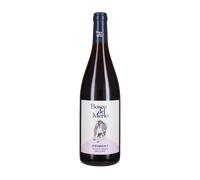Pinot Nero 'Primont' Bosco del Merlo 2025
