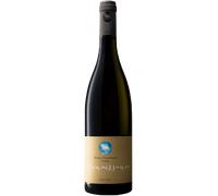 Pinot Nero Riserva 'Renaissance' 2021 - Gumphof