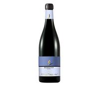 Pinot Nero Silvester Rosso Riserva Trentino Doc 0,75 L Zanotelli