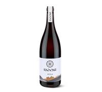 Pinot Nero 'Vedla' Bio 2020 - Tenuta Radoar