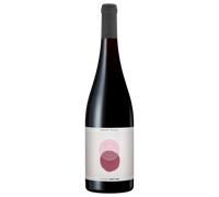 Pinot Noir 2025 - Sophie Schaal Alsace Pinot Noir