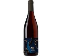 Pinot Noir - Maison Auzias Carcassonne