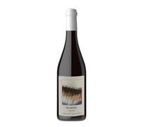 Pinot Noir 'Selection Massale' Domaine Labet 2023