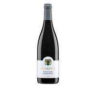 Pinot Noir 'Tradition' 2024 - Weingut Domain Donatsch