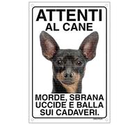 PINSCHER Attenti al cane morde sbrana uccide e balla sui cadaveri (20X30)