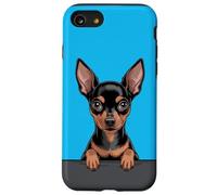 Pinscher in miniatura divertente che sbircia Pocket Min Pin Puppy Dog Custodia per iPhone SE (2020) / 7/8