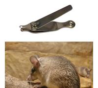 Pintbr Punch Punch Ear Tag Orertcher per topi di pollo piccoli animali