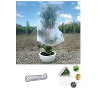 Pinto FERRAMENTA Telo Copri Piante Antigelo Invernale per Limoni Protettivo in TNT per Serra Orto e Balcone Contro Il Freddo Esterno per Fiori Ortaggi con 10mt Corda Omaggio (100X160CM PZ3)