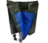 Pinto Ferramenta Telone Impermeabile Occhiellato Telo Multiuso Esterno Rinforzato Blu o Verde/Blu Coperture Copri Legna Antipioggia Omaggio Fascette e Corda Elastica (8x10mt, Verde/Blu 120gr)