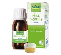 PINUS MONTANA BOIRON MG 60ML