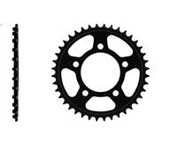 Afam Corona 10521-40 per catena Acciaio passo 520 40 denti Argento