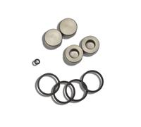 pinza freno Ajp 25 doppio pistoncino kit revisione pistoncini gommini JOTAGAS