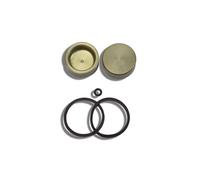pinza freno Ajp pistoncino 32 mm kit revisione pistoncini gommini BETA EVO 80