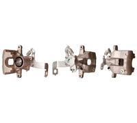 Pinza freno Assale posteriore Sx con freno-stazionamento integrato 4196810 DRI