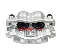 Pinza Freno Fast FT32180 per Fiat Iveco Renault