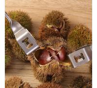 Pinza Per Castagne Facile Da Usare Robusto Apri Castagne Per Noci Nocciole