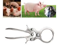 Pinza per castrazione di bestiame Pinza veterinaria Strumento Castrazione