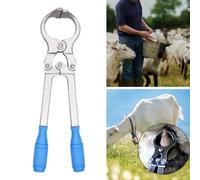 Pinza per castrazione di bestiame Pinza veterinaria Strumento Castrazione