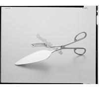 PINZA TORTA CM.25 FORBICI FORBICE PROFESSIONALE ACCIAIO FORGIATO 18/10 64923