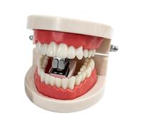 Pinzatrice Dentiera Sorriso per Ufficio e Scuola, Regalo Simpatico | Design realistico a forma di dentiera gioioso, ergonomica e divertente da usare in ufficio o a casa