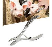 Pinze a molla con denti a sfera in acciaio inossidabile per tagliare i denti dei suinetti, attrezzatura per l'allevamento di bestiame.