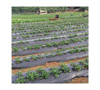 Pinze per la sigillatura dei profumi, Pellicola in PE con fori for piantagione da 10 m, for pacciamatura di erbacce da giardino, telo traspirante for giardinaggio, agricoltura e paesaggistica