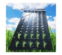 Pinze per la sigillatura dei profumi, Pellicola nera da 0,02 mm a 5 fori, for la protezione delle piante da orto, teli di coltivazione, 10 m