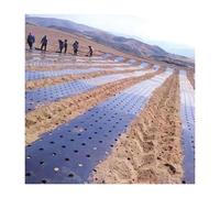 Pinze per la sigillatura dei profumi, Pellicola protettiva for la coltivazione di ortaggi, 0,02 mm, 5 fori, nera, for giardino(30 Meters)