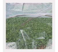 Pinze per la sigillatura dei profumi, Pellicola protettiva in plastica agricola ispessita da 0,14 mm, for colture agricole, ortaggi da giardino, piante e pellicole protettive in PE(Width 3m)