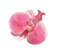 Pinze per orchidea per capelli con per capelli Phalaenopsis | Spille per